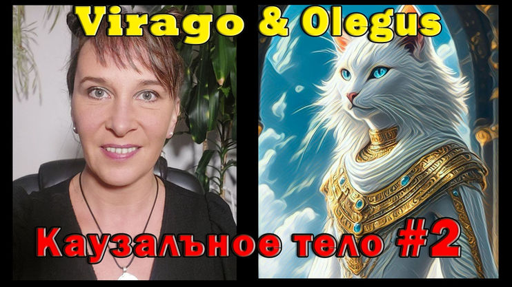 Каузальное тело.#2 VIRAGO & Olegus